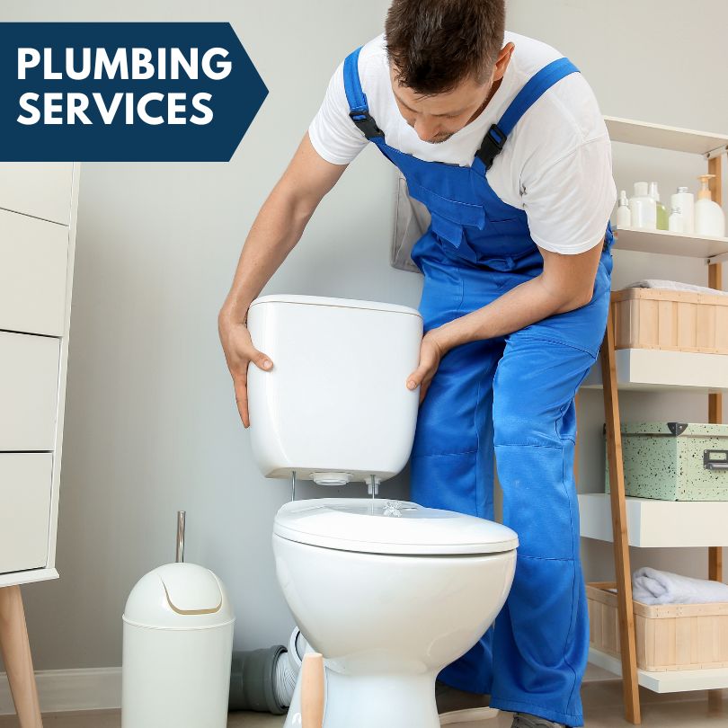 Plumbing Company in Waldron, MI